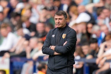 Shota Arveladze manager of Hull City