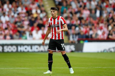 Anel Ahmedhodzic #15 of Sheffield United 