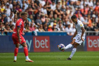 Kyle Naughton (26) of Swansea City during the game