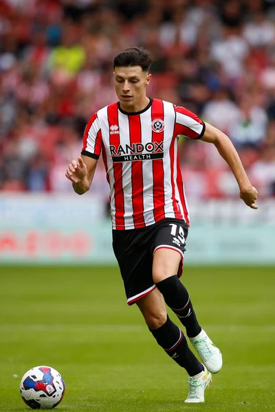 Anel Ahmedhodzic Sheffield United — ストック写真