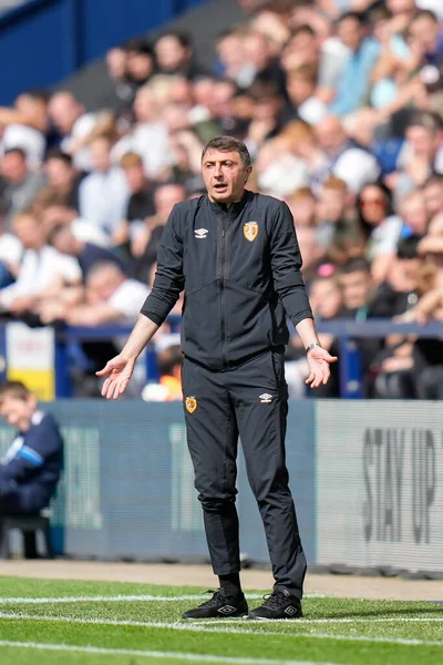 Shota Arveladze Manager Hull City Gestures — Zdjęcie stockowe