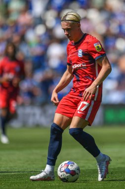 Przemys?aw P?acheta #17 of Birmingham City  in action during the game 