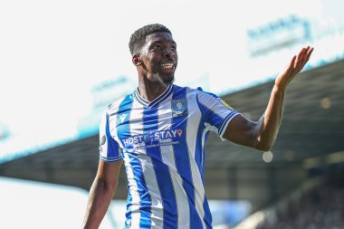 Tyreeq Bakinson #19 of Sheffield Wednesday celebrates his goal to make it 1-0