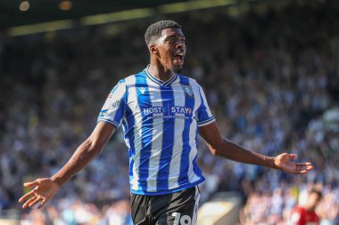 Tyreeq Bakinson #19 of Sheffield Wednesday celebrates his goal to make it 1-0