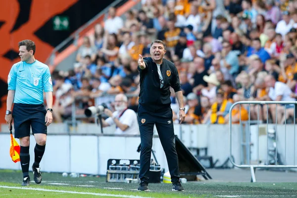 Shota Arveladze Manager Hull City — Stockfoto