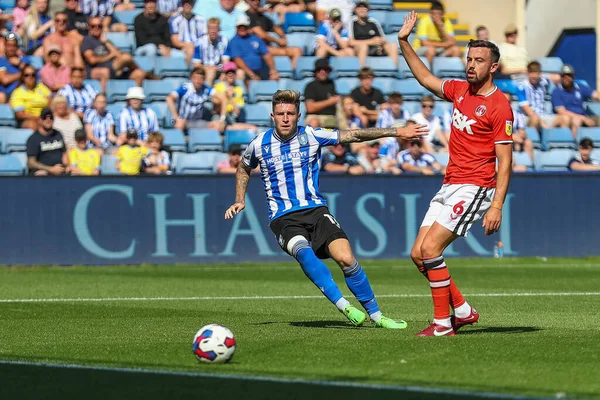 Josh Windass #11 of Sheffield Wednesday has a shot at goal
