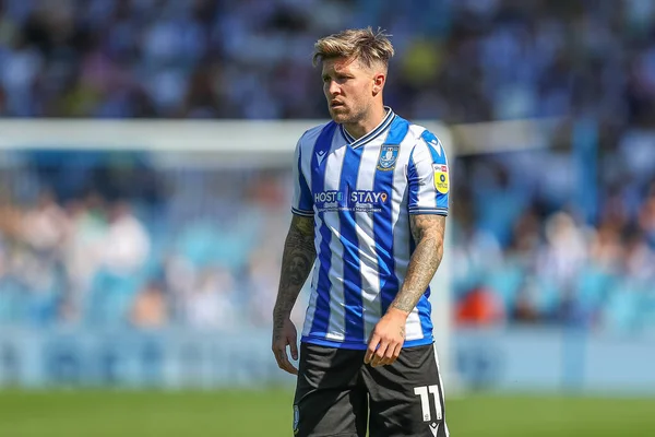 Josh Windass #11 of Sheffield Wednesday during the game