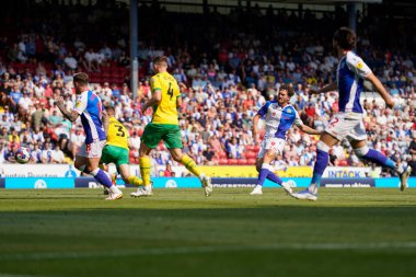 Sam Gallagher #9 of Blackburn Rovers drives home his sides second goal