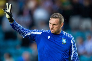 David Stockdale #31 of Sheffield Wednesday during the pre match warm up 