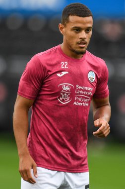 Joel Latibeaudiere #22 of Swansea City during the pre-game warmup 
