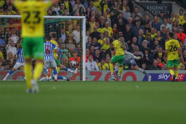 Danel Sinani #21 of Norwich City scores a goal to make it 2-0