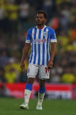 Duane Holmes #19 of Huddersfield Town during the game