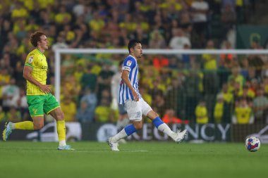 Yuta Nakayama #33 of Huddersfield Town passes the ball