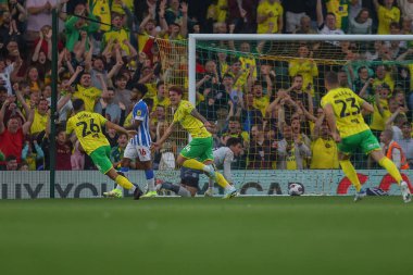 Josh Sargent #24 of Norwich City celebrates his goal to make it 1-0