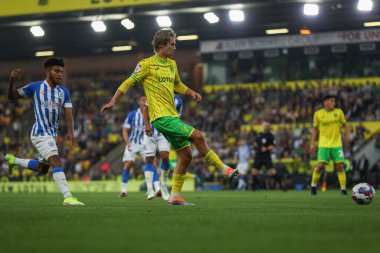 Todd Cantwell #14 of Norwich City passes the ball