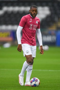 Olivier Ntcham #10 of Swansea City during the pre-game warmup 