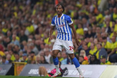 Etienne Camara #24 of Huddersfield Town during the game