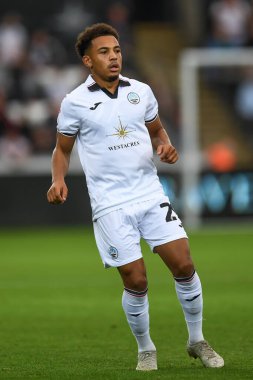 Matthew Sorinola #29 of Swansea City during the game