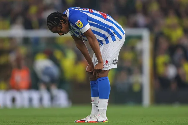 Etienne Camara Huddersfield Town Looks Dejected Loss — Foto de Stock