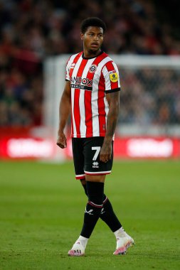 Rhian Brewster #7 of Sheffield United 