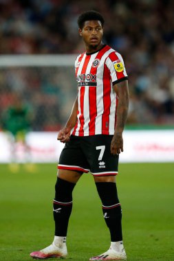 Rhian Brewster #7 of Sheffield United 