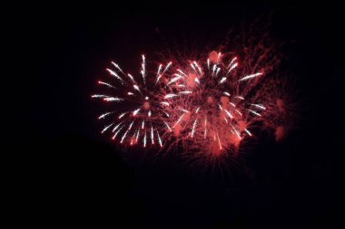 A firework display signifies the start of the Illuminated Parade part of the fete. 