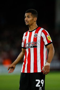 Iliman Ndiaye #29 of Sheffield United 
