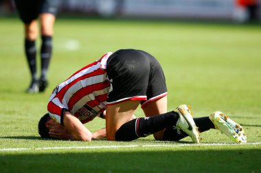 Anel Ahmedhodzic #15 of Sheffield United goes down after taking a knock