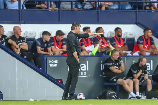 Shota Arveladze manager of Hull City during the game