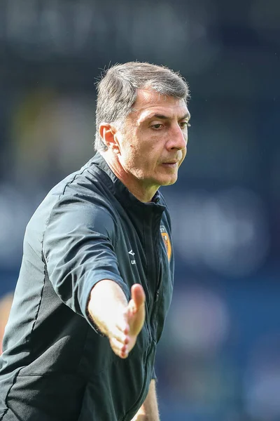 Shota Arveladze Manager Hull City High Fives His Players — Foto Stock
