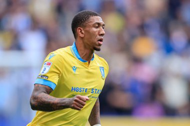 Liam Palmer #2 of Sheffield Wednesday