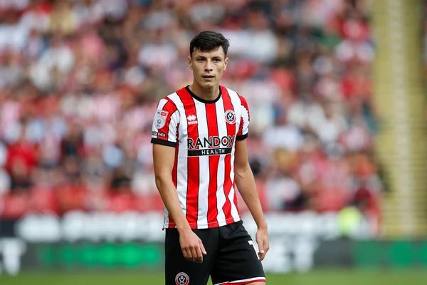 Anel Ahmedhodzic Sheffield United —  Fotos de Stock