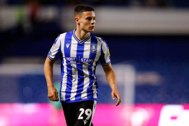 Alex Hunt #29 of Sheffield Wednesday