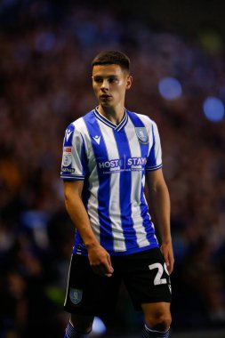 Alex Hunt #29 of Sheffield Wednesday