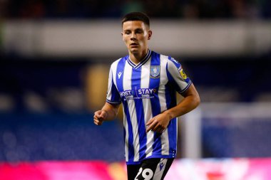 Alex Hunt #29 of Sheffield Wednesday