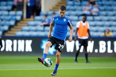 Alex Hunt #29 of Sheffield Wednesday 