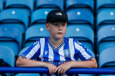 A fan of Sheffield Wednesday
