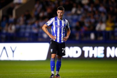 Alex Hunt #29 of Sheffield Wednesday 