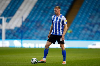 Mark McGuinness #34 of Sheffield Wednesday 