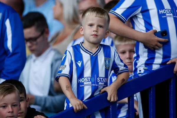 A fan of Sheffield Wednesday
