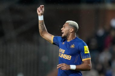 Joelinton #7 of Newcastle United gestures 