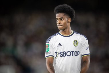 Crysencio Summerville #10 of Leeds United during the game 