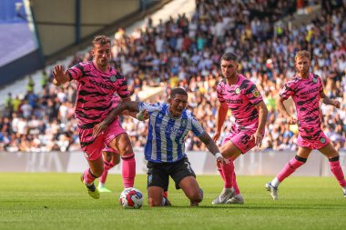 Liam Palmer #2 of Sheffield Wednesday goes down in the box but no penalty is given