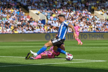 Baily Cargill #6 of Forest Green Rovers tackles Lee Gregory #9 of Sheffield Wednesday