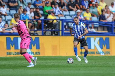 Lee Gregory #9 of Sheffield Wednesday runs with the ball