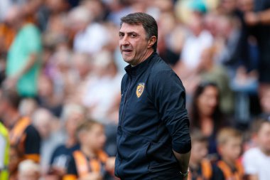 Shota Arveladze manager of Hull City