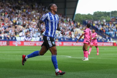 Liam Palmer #2 of Sheffield Wednesday celebrates his goal to make it 3-0
