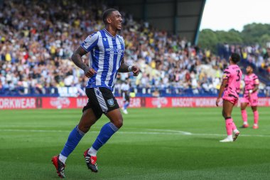 Liam Palmer #2 of Sheffield Wednesday celebrates his goal to make it 3-0