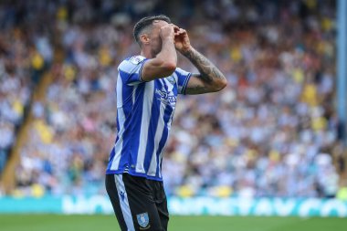 Lee Gregory #9 of Sheffield Wednesday celebrates his goal to make it 4-0