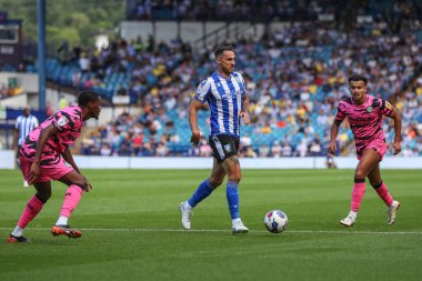 Lee Gregory #9 of Sheffield Wednesday in action during the game 